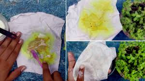 We did not find results for: Best Way To Remove Dried Curry Stains From Clothes Cleaning Solutions Youtube