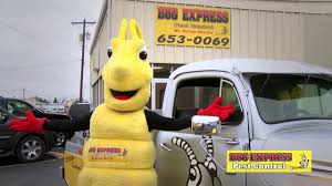 Add them now to this category in san angelo, tx or browse best pest control for more cities. San Angelo Pest Control Bug Express Bug Express San Angelo Texas Pest Control
