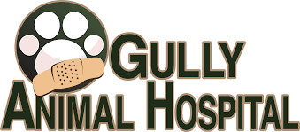 Maybe you would like to learn more about one of these? Gully Animal Hospital Veterinarian In Arlington Tx