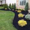 We love boxwood, but there are so many other shrubs that top out at about three feet, its a shame to limit your plant palette. 1