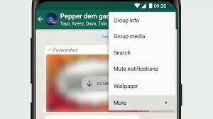 Janngan kawatir ini cara mengembalikan chat wa yang terhapus dan cara mengembalikannya. Whatsapp Help Center How To Exit And Delete Groups