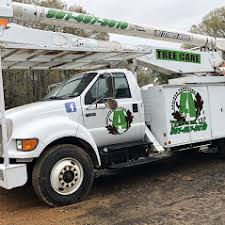 Tree service in memphis you can trust. Gallery Addison Tree Care Memphis Tree Service Removal Pruning Trimming Clearing