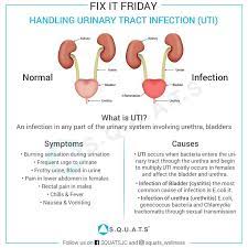 An Infection In Any Part Of The Urinary System Involving Urethra Bladders And Kidney Is Called As Urinary Tr Urinary Tract Infection Urinary Tract Health Tips