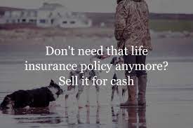 We did not find results for: How To Sell Your Life Insurance Policy For Cash Insurance Geek