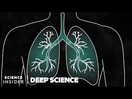 Pour beaucoup, la pandémie a des répercussions sur la gestion des finances. We Are All The Federal Council Foph Coronavirus Youtube