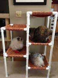 Just flip it over and slide it over the pvc structure, and you're done. Resultado De Imagem Para Pvc Diy Cat Hammock Moveis Para Gatos Rede Para Gatos Cama De Gato Faca Voce Mesmo