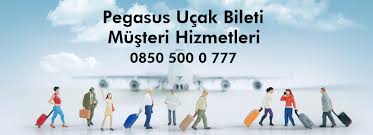 Pegasus Iletisim 444 Ucretsiz Tel No 0850 500 0 777