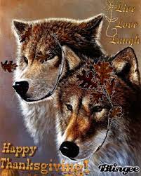 Maybe you would like to learn more about one of these? Happy Thanksgiving Two Wolves Cute Wolf Drawings Wolf Painting