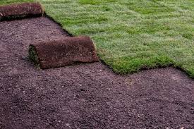 Sarasota landscaping & design will get the job done right in an efficient, affordable way. How To Lay Sod Lawn Care Guide By Lawn Love