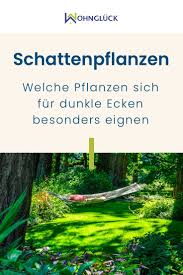 Pin Auf Garten