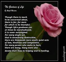 Positive quotes that will make your day wonderful, beautiful quotes that will make your day magical let children walk with nature, let them see the beautiful blendings and communions of death and life, their joyous inseparable unity, as taught in woods and meadows, plains and mountains and streams of our blessed star, and they. Beautiful Flowers Quotes Glitters Styles Images Beautiful Flower Quotes Flower Quotes Acts Of Love