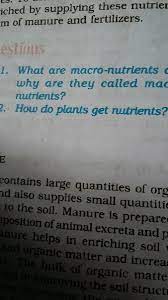 The major source of plant nutrition is the fixation of atmospheric co2 into simple sugar using the energy of the sun. How Do Plants Get Nutrients Brainly In