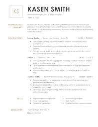 Horizontal professional cv with colorful sidebar. Professional Auditor Resume Examples Accounting Livecareer
