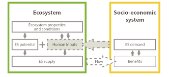 The diagram shown represents the feeding areas during summer and fall of two populations in the same ecosystem. Mapping Ecosystem Services