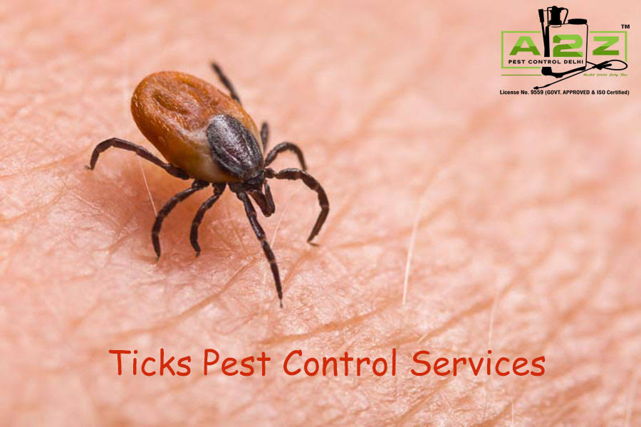 Ticks Pest Control Services product image