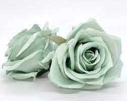 Are exceptionally fragrant and have a soothing effect. Sage Green Flowers Etsy
