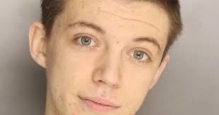 Busts for heroin, vehicle break-ins