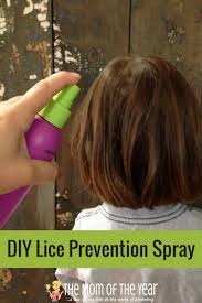 Have Young Kids Yup Then You Are Living In Fear Of Lice Stop Trust Me And Check Out This Diy Lice P Lice Prevention Spray Lice Prevention Tea Tree Oil Lice