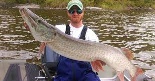Thank you to everyone who attended. Catch A Massive Muskie In Minnesota This Fall Explore Minnesota