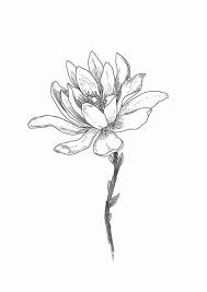 We did not find results for: How To Draw A Flower 45 Easy Flower Drawings For Beginners
