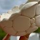 Clay Class: Coil or Pebble Bowls event image