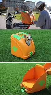 This Hard Shell Pet Carrier Has Been Designed To Transport Pets On Scooters Pet Carriers Pet Bag Dog Transport