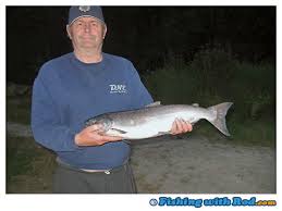 Tough Derby At Cultus Lake Fishing With Rod Blog British