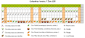 Jardiner Avec La Lune Au Potager En Juin