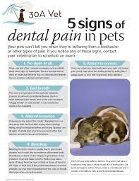 My children are 7, 4, and under a year old and while they have not needed major surgery or anything like that for their teeth. Dentistry 30a Vet