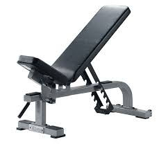 Body solid fid46 adjustable weight bench. Weight Bench Review Ultimate Shopping Guide V2
