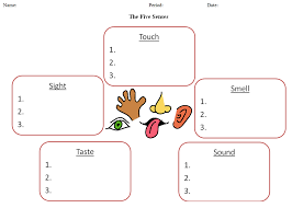 Teaching Five Senses Worksheets For All Senses Graphic Organizers Five Senses Worksheet Worksheets For Kids