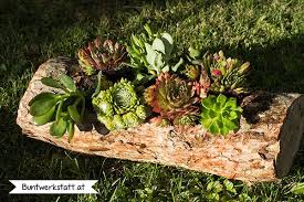 Anleitung Baumstamm Pflanztrog Mit Hauswurz Pflanzen Baumstamm Garten Baumstamm