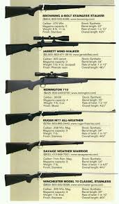 Pin By Napoleon Eguizabal On Guns Hunting Rifles Hunting