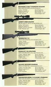 pin by napoleon eguizabal on guns hunting rifles hunting