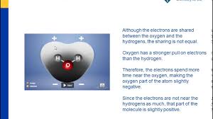 Aug 17, 2020 · number of atoms in a drop of water. Water Is A Polar Molecule Chapter 5 The Water Molecule And Dissolving Middle School Chemistry
