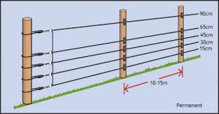 Stirrup post, the tallest this is a 72 in. Wire Heights And Post Spacings For Electric Fences