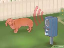 Accordingly, you can use peels of lemon, lime, orange or grapefruit to keep fido out of your yard. 3 Ways To Keep Dogs Off Your Lawn Wikihow