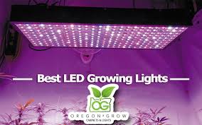 the best led grow lights for achieving maximum yield 2019