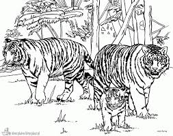 Feel free to print and color from the best 40+ college coloring pages at getcolorings.com. Adult Coloring Pages Colorsuki Com