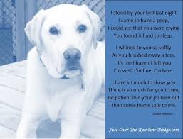 This Is A Picture Of Jake My Yellow Lab And The Inspiration For Just Over The Rainbow Bridge We Love You And Miss Losing A Dog Quotes Pet Grief Losing A