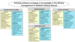 Nutrients Special Issue Nutrition And Chronic Kidney Disease