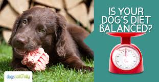 How To Balance The Calcium And Phosphorus In Your Dogs Raw Diet