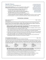 What kind of resume do i need for saas account executive? Professional Business Resume Template Sample Law Enforcement Resume Template Business Resume Template Professional Resume Samples Professional Resume Format