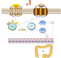 World Journal of Gastroenterology