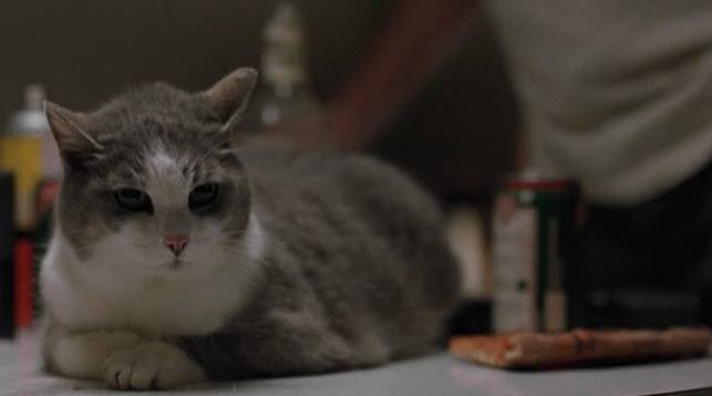 The Boondock Saints (1999) - Cinema Cats