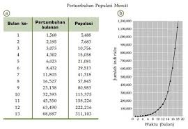 Contoh laporan pemecahan masalah biologi dengan kerja ilmiah ? 7 Langkah Metode Ilmiah Biologi Dan Contohnya Lengkap Biologijk