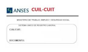 Aug 20, 2021 · anses: Cual Es La Diferencia Entre Cuit Y Cuil Rankia