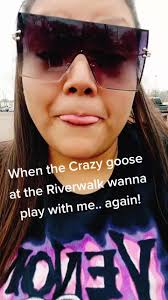 Man Defends Himself Against Goose