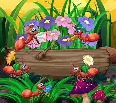 Image result for tbn:ekRZeqiUkU8b5M::www.hormiga.org/fondosescritorio/wallpapers/Paisajes-y-naturaleza/fotos/Paisajes-22.jpg