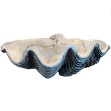 Check spelling or type a new query. Amazon Com Giant 22 Clam Shell Tridacna Gigas White Clamshell Grocery Gourmet Food